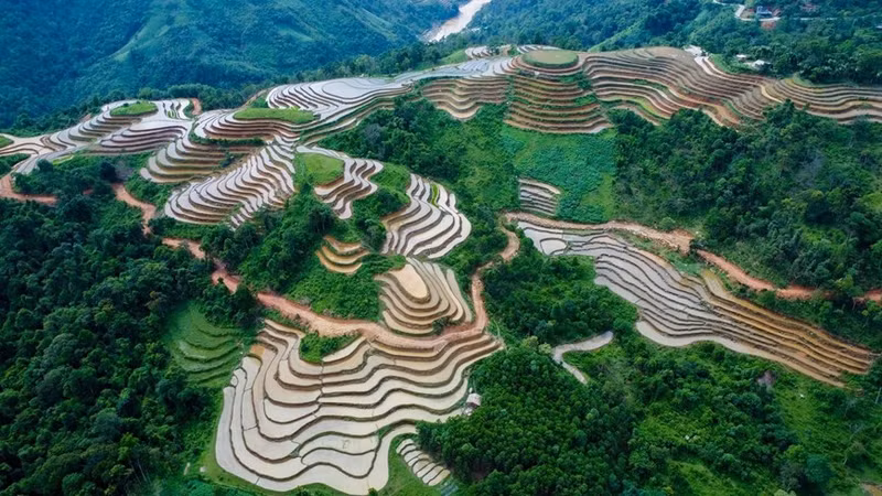 Las terrazas de arroz están llenas de agua como espejos que reflejan la tierra y el cielo. Las terrazas de arroz están llenas de agua como espejos que reflejan la tierra y el cielo.