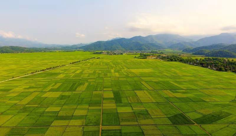 El campo Muong Thanh. (Foto: Servicio de Cultura, Deporte y Turismo de Dien Bien)