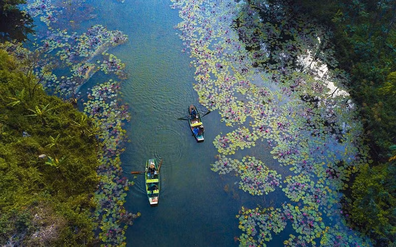 El camino a Thung Nang, un destino turístico en el pueblo de Dam Khe, de la comuna de Ninh Hai, con su belleza encantadora. El camino a Thung Nang, un destino turístico en el pueblo de Dam Khe, de la comuna de Ninh Hai, con su belleza encantadora.