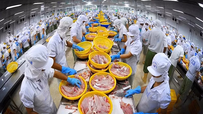 Los bienes acuáticos son uno de los productos fuertes de Vietnam en el mercado del CPTPP. (Fotografía: VNA)