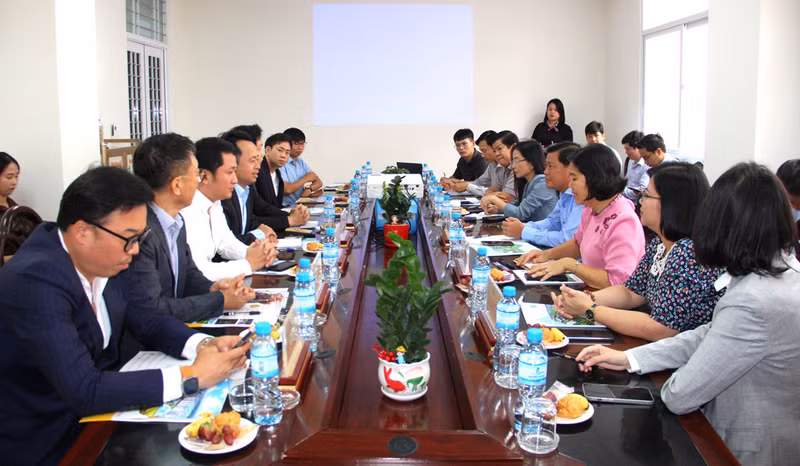 En la cita. (Fotografía: baolongan.vn)