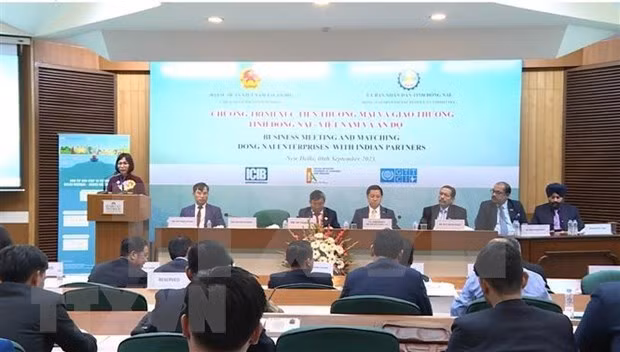 Nguyen Thi Hoang, vicepresidenta del Comité Popular de Dong Nai, habla en el evento. (Foto: VNA)
