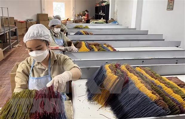Producción de fideos para exportación. (Foto: VNA)