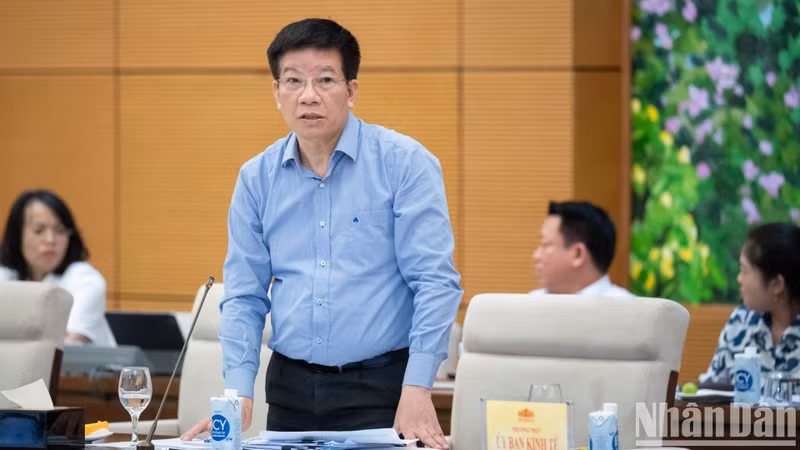 El jefe adjunto de la Oficina de la AN, Pham Dinh Toan, expresa sus opiniones.