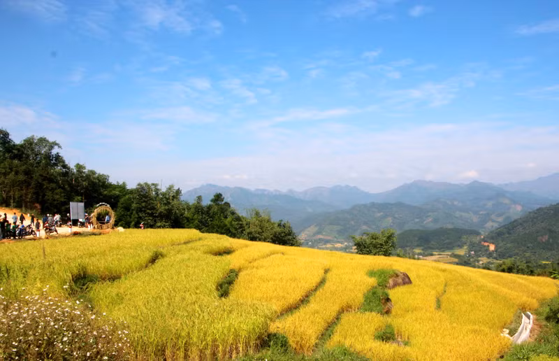 Temporada dorada en Binh Lieu. (Foto: baoquangninh.vn)