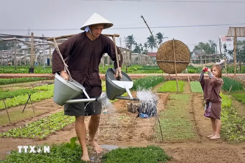 Turistas extranjeros experimentan las actividades diarias en la aldea turística de Tra Que en la provincia de Quang Nam. (Foto: VNA)
