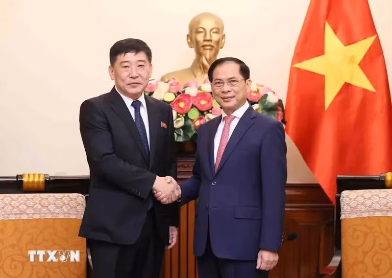El canciller vietnamita Bui Thanh Son (derecha) recibe al viceministro de Asuntos Exteriores de la República Popular Democrática de Corea (RPDC), Pak Sang Gil. (Foto: VNA)