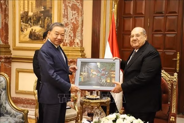 El general To Lam, ministro de Seguridad Pública de Vietnam, y el presidente del Senado egipcio y titular del Partido del Futuro de la Nación (NFP), Abdel-Wahab Abdel-Razek. (Foto: VNA)