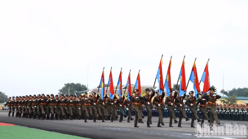 El bloque de cinco alas de combatientes.