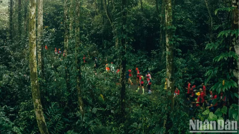 El Parque Nacional de Cuc Phuong fue nombrado como el Parque Nacional Líder de Asia.