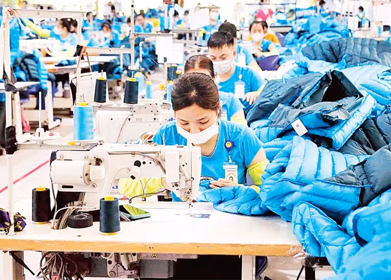 Las normas ecológicas son un gran desafío para las empresas textiles y de prendas de vestir de Vietnam. (Foto: VNA)