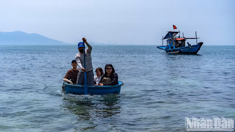 Para visitar la isla, los turistas deben partir del puerto de Tho Quang, viajar en un pequeño barco hasta un área a unos 200 metros de la isla y luego en un bote con forma de canasta para llegar a la isla. Para visitar la isla, los turistas deben partir del puerto de Tho Quang, viajar en un pequeño barco hasta un área a unos 200 metros de la isla y luego en un bote con forma de canasta para llegar a la isla.