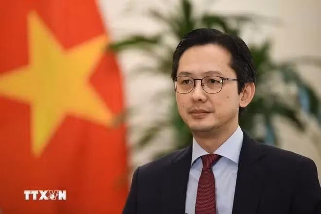 El viceministro de Relaciones Exteriores Do Hung Viet. (Foto: VNA)