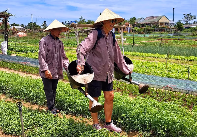 Turistas españoles experimentan las prácticas de cultivo locales.