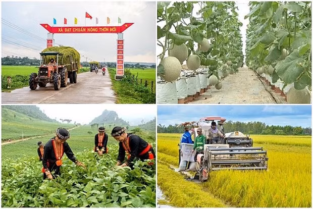 La tasa de hogares de pobreza multidimensional disminuye del 9,2 por ciento al 3,6 por ciento en el período 2016 - 2022. (Foto: baochinhphu.vn)