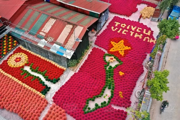 Pueblo artesanal de varitas de incienso de Quang Phu Cau, en el distrito de Ung Hoa. (Foto VNA) Pueblo artesanal de varitas de incienso de Quang Phu Cau, en el distrito de Ung Hoa. (Foto VNA)