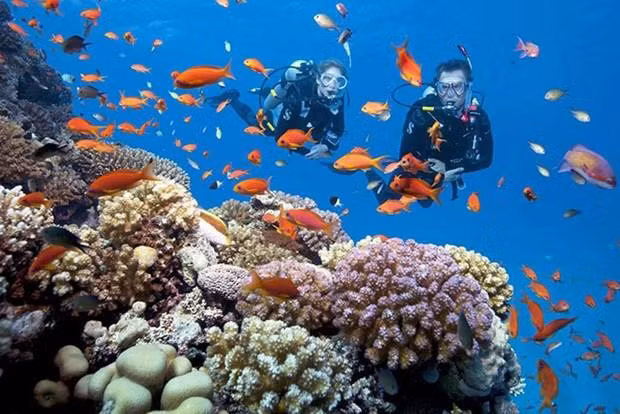 Arrecifes de coral en bahía de Nha Trang. (Fotografía: baokhanhhoa.vn)
