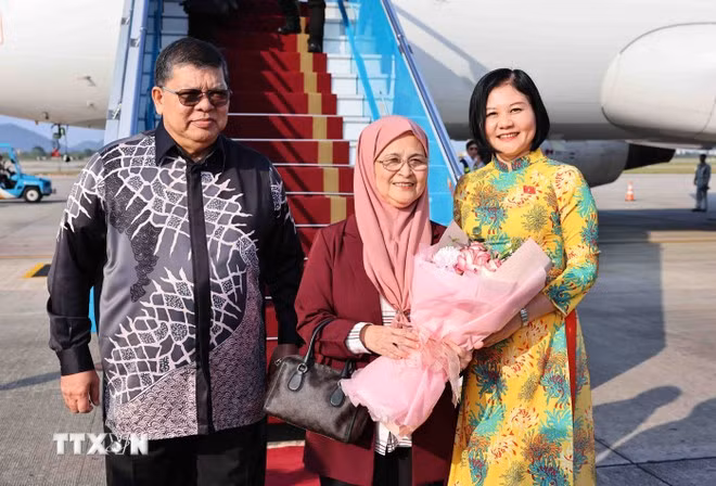 Acto de bienvenida al presidente de la Cámara de Representantes de Malasia, Tan Sri Dato Johari Bin Abdul, y a su esposa, en el aeropuerto internacional de Noi Bai. (Foto: VNA)