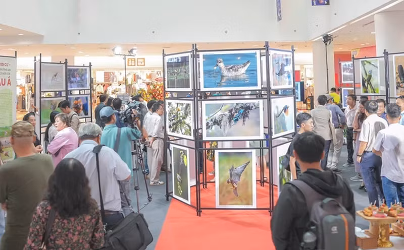 En la exposición.