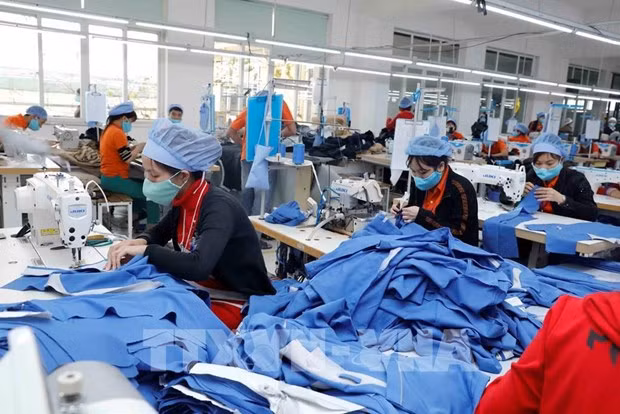 Artículos de costura para exportación al mercado japonés en la compañía Hung Viet Garment, distrito de Yen My, provincia de Hung Yen. (Fuente: VNA) Artículos de costura para exportación al mercado japonés en la compañía Hung Viet Garment, distrito de Yen My, provincia de Hung Yen. (Fuente: VNA)