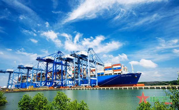 El puerto internacional Tan Cang - Cai Mep recibió el premio de "Puerto Verde" 2020. (Fuente: qdnd.vn)