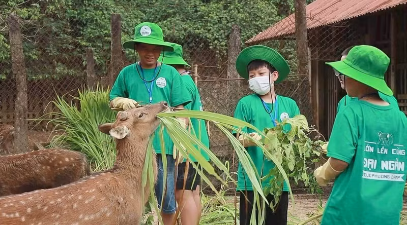 Los jóvenes participan en el campamento de verano Cuc Phuong 2024 en el Parque Nacional Cuc Phuong. (Foto: VNA)