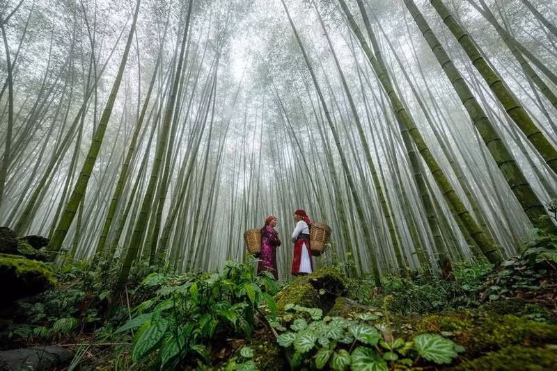 El turismo de Vietnam se centrará en el desarrollo sostenible y creativo, sobre la base del crecimiento verde, imbuido de la identidad cultural vietnamita. (Foto: VNA)