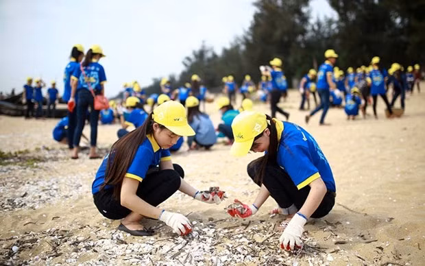 Jóvenes realizan limpieza de la costa (Fuente: baovemoitruong.org.vn)