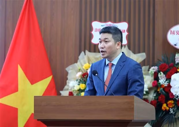 Phan Anh Son, presidente de la VUFO. (Foto: VNA) 