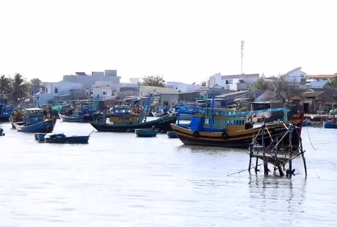 Barcos pesqueros en la provincia de Binh Thuan. (Foto: VNA)