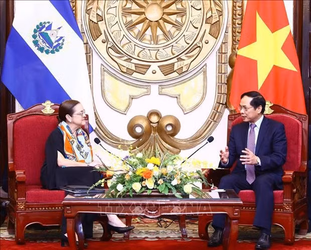 El canciller vietnamita, Bui Thanh Son, y su homóloga de El Salvador, Alexandra Hill Tinoco. (Fotografía: VNA)