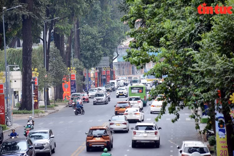 Calle Pham Ngoc Thach (distrito 1). (Fuente: VNA)