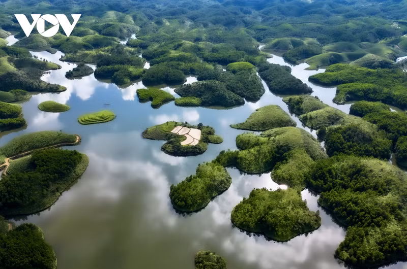 Las islas con diversas formas y exuberante vegetación crean paisajes salvajes y poéticos.