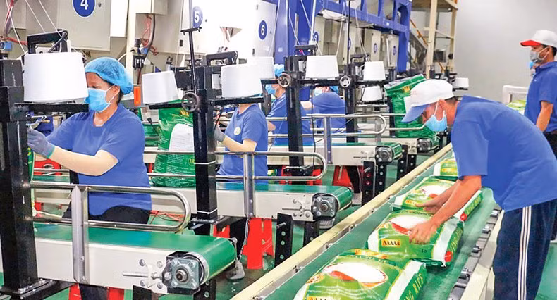 Envasado de arroz para exportación al mercado de la Unión Europea en la Sociedad Anónima de Agricultura de Alta Tecnología Trung An, en la sureña provincia vietnamita de Can Tho. (Foto: Nam Phuong)