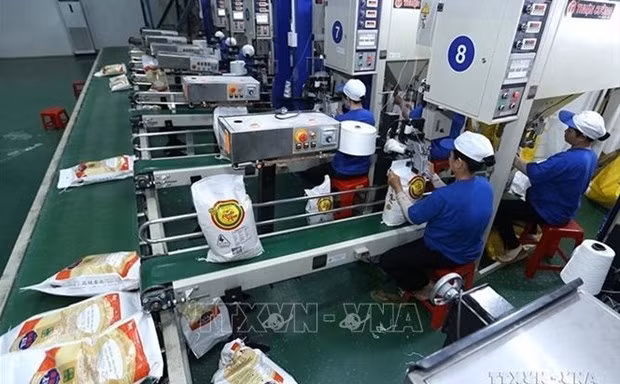 Vietnam abastecerá este año al mercado mundial con más de 7,5 millones de toneladas de arroz. (Foto: VNA)