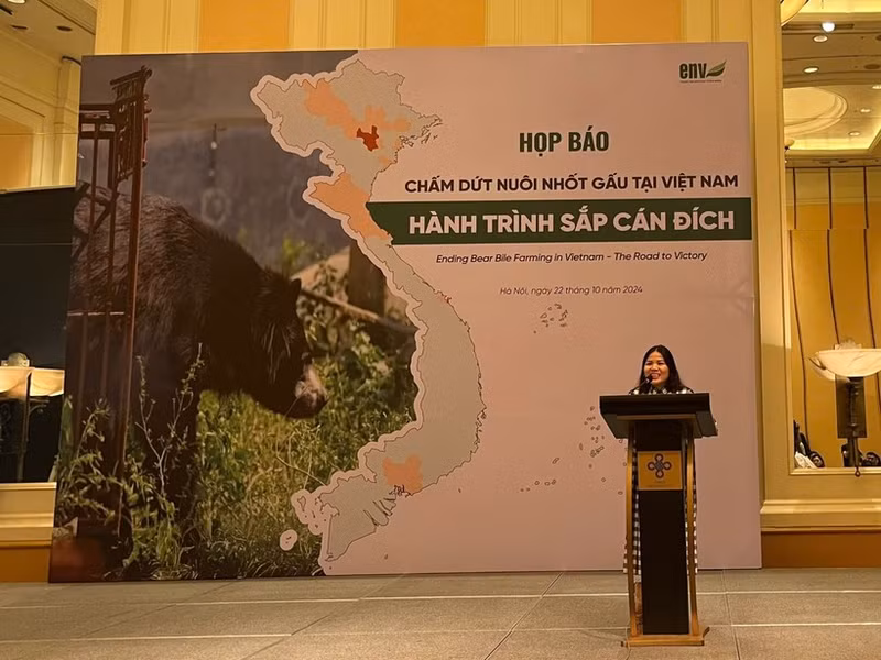 Bui Thi Ha, subdirectora del ENV, interviene en la cita. (Foto: VNA)