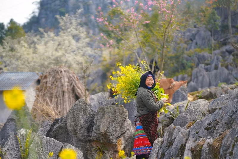 La belleza de la gente combinada con el paisaje es una atracción para los turistas que vienen a Ha Giang.