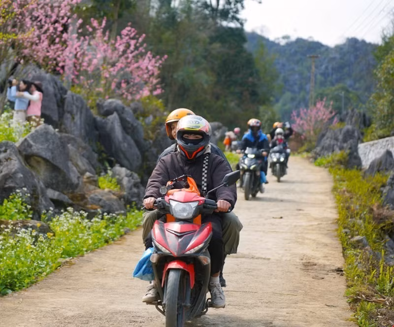 Muchos turistas internacionales han optado por explorar Ha Giang en moto a través de sinuosos pasos de montaña con la encantadora belleza de majestuosas rocas y pueblos coloridos.