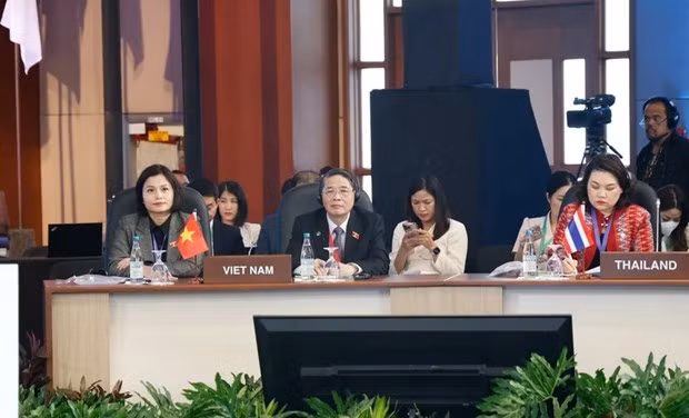 El vicepresidente de la Asamblea Nacional de Vietnam Nguyen Duc Hai participa en la cita. (Foto: VNA)
