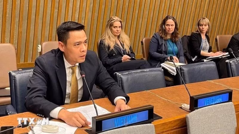 El embajador Dang Hoang Giang, jefe de la Misión Permanente de Vietnam ante la ONU. (Foto: VNA)