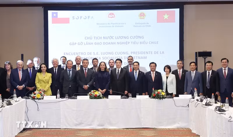 El presidente vietnamita, Luong Cuong, y los líderes de principales empresas chilenas. 