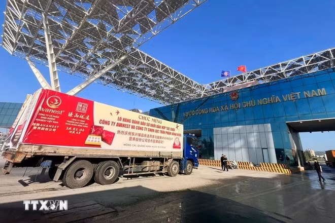 El primer envío de nidos de salanganas exportados a China a través del puente Bac Luan II - Mong Cai (Quang Ninh). (Foto: VNA) El primer envío de nidos de salanganas exportados a China a través del puente Bac Luan II - Mong Cai (Quang Ninh). (Foto: VNA)