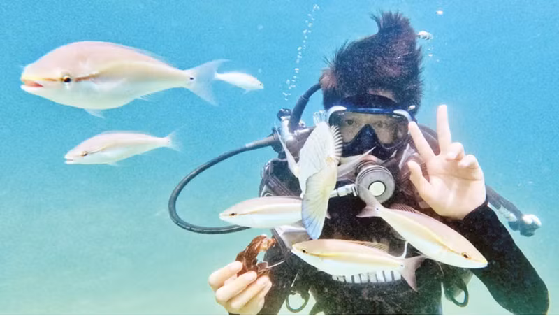 Turistas practican buceo en la isla de Co To.