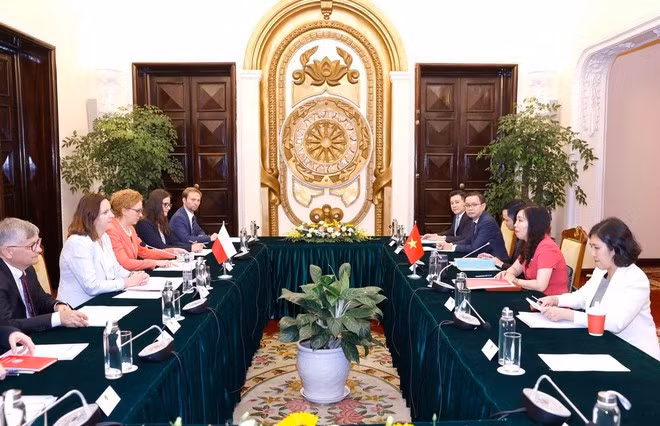 La viceministra de Relaciones Exteriores de Vietnam, Le Thi Thu Hang, y la subsecretaria de Estado del Ministerio de Asuntos Exteriores de Polonia, Anna Krystyna Radwan-Rohrenschef, copresidieron la consulta política a nivel de viceministros de Relaciones Exteriores de ambos países, el 30 de mayo de 2024. (Foto: VNA)