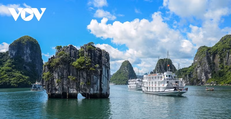 La bahía de Ha Long, en la provincia de Quang Ninh (Foto: VOV) La bahía de Ha Long, en la provincia de Quang Ninh (Foto: VOV)