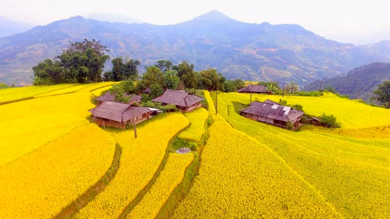 Por su valor e identidad, las terrazas de arroz de Hoang Su Phi fueron reconocidas como Patrimonio Paisajístico Nacional en 2012 por el Ministerio de Cultura, Deportes y Turismo.