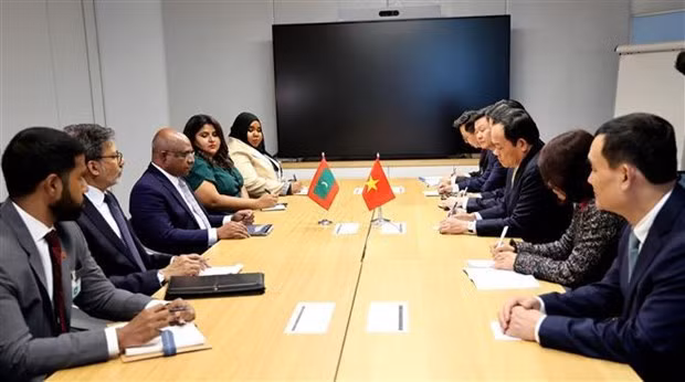 El viceprimer ministro vietnamita, Tran Luu Quang, recibe al Ministro de Relaciones Exteriores de Maldivas, Abdulla Shahid (Fotografía: VNA)