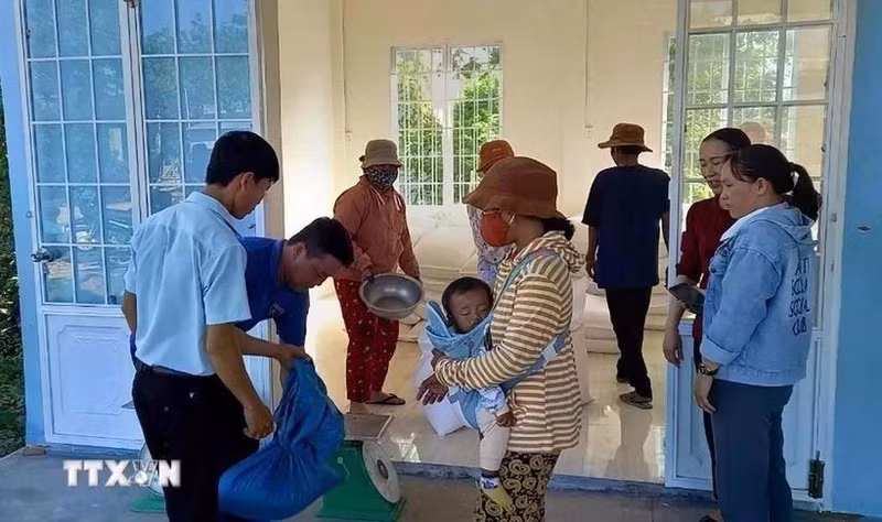 Gobierno de Vietnam asignará casi tres mil toneladas de arroz a siete provincias para ayudar a la población local. (Foto: VNA)