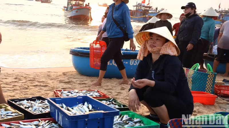 Los hombres trasladan las capturas desde los barcos a la orilla, las mujeres compran y venden en grupos para llevar el pescado al mercado antes de las 6 de la mañana.