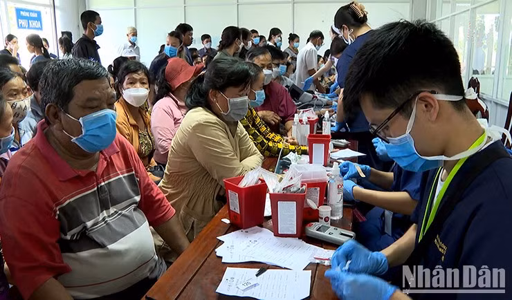 Los médicos aconsejan a los pacientes sobre el tratamiento más eficaz para sus dolencias.